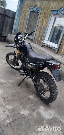 Racer Pantera 200