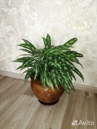 Кашпо для цветов (горшок)