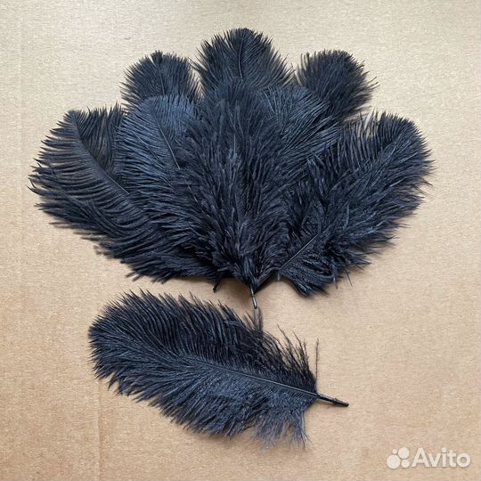 Перья страуса для творчества