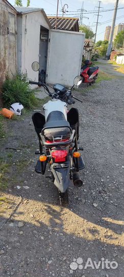 Продам Альфу (Alpha FX MAX 125cc)
