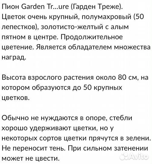 Пион Гарден Треже