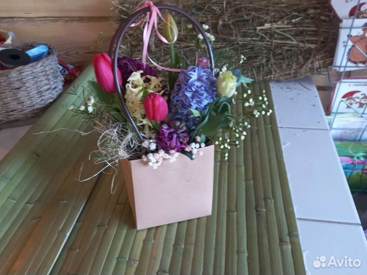 Композиции с гипсофилой