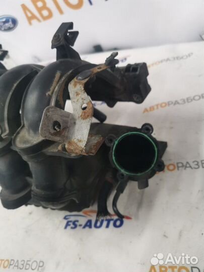 Коллектор впускной Ford Focus 2 CA5 1.6 бензин