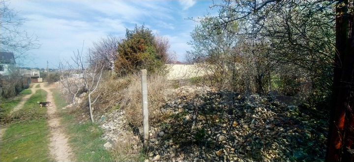 Участок 4,2 сот. (СНТ, ДНП)