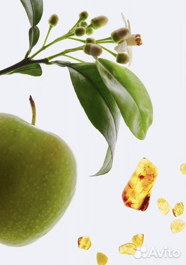 Zara Seoul Summer parfum 100 ml