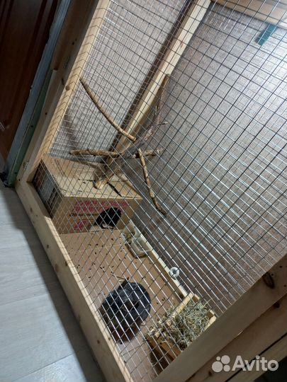 Клетка для щиншилы