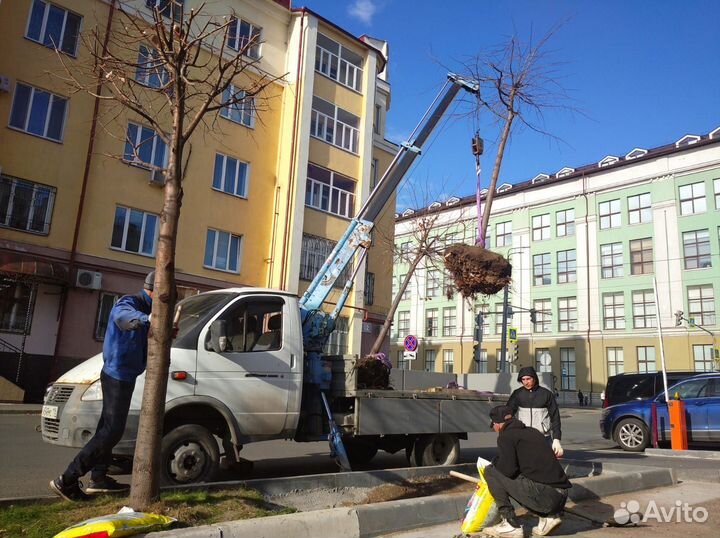 Аренда манипулятора Газель