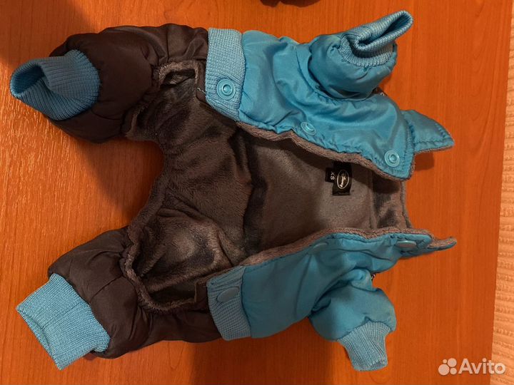 Вещи для маленькой собачки