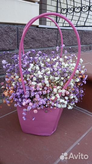 Гипсофила в сумочке