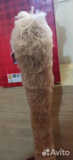 Кактус Эспостоа