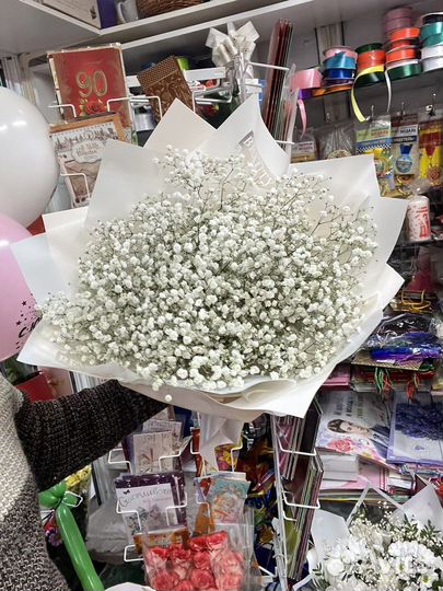 Цветы гипсофила