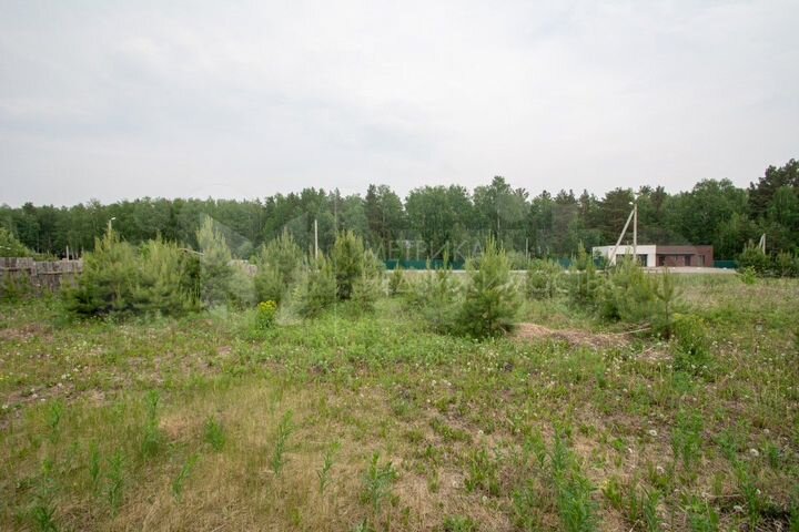 Участок 14,9 сот. (СНТ, ДНП)