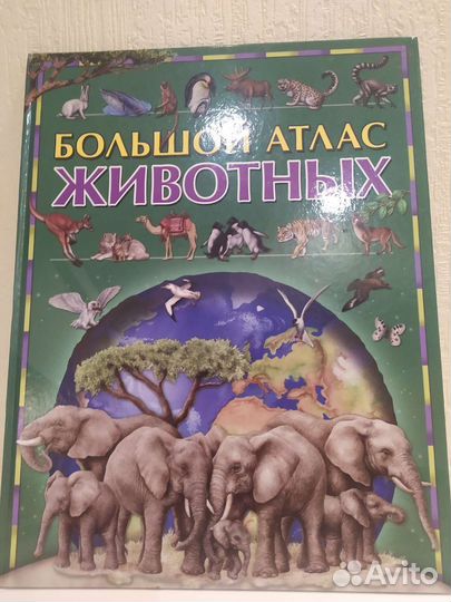 Энциклопедия