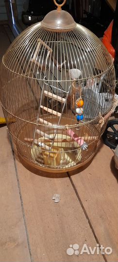 Товары для животных