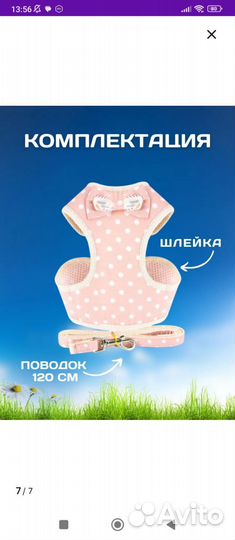 Шлейка с поводком для маленьких