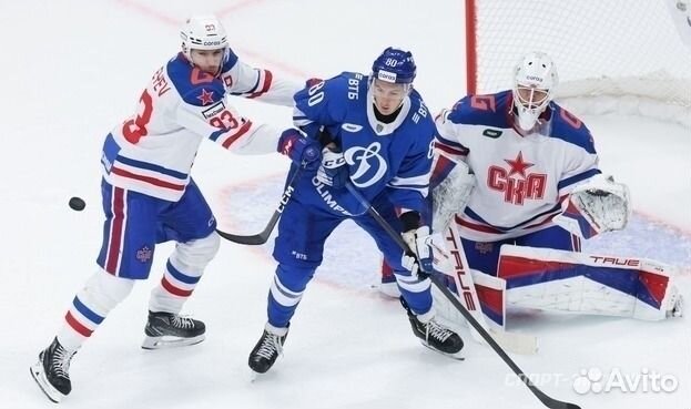 Билет один Динамо Ска 11 января сектор А 309