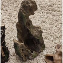 Для аквариума