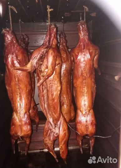 Коптильня дачная