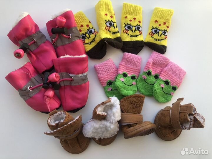 Обувь для собак мелких пород