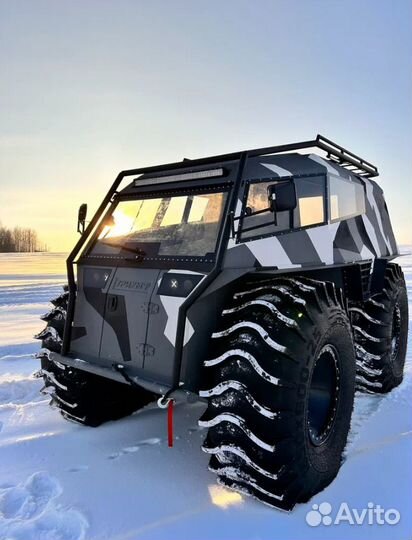 Вездеход Триумф 2.4