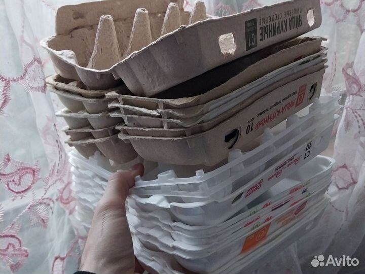 Коробки для яиц