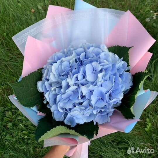 Гортензия в букете