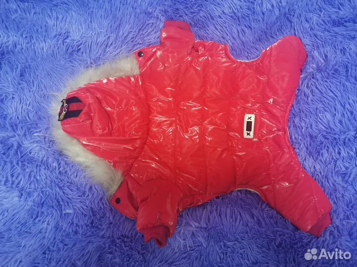 Куртка зимняя для собачки