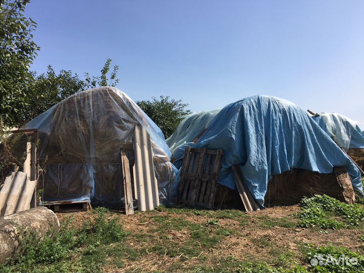 Сено в тюках