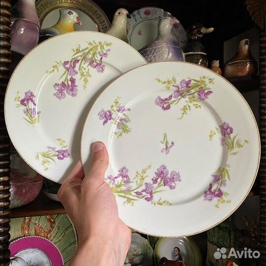 Тарелки Лимож Limoges Франция Ирисы