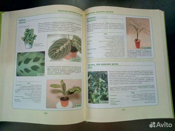 Книга комнатных растений