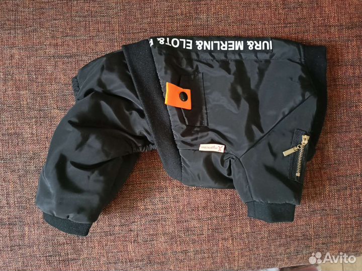 Одежда для собак мелких пород