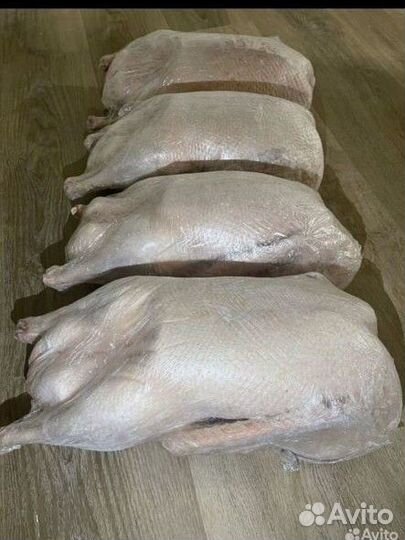 Тушки Гусей