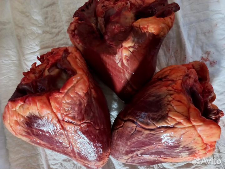 Сердце,рубец,субпродукты,ноги,обрезь говядина