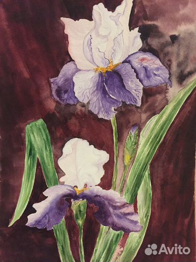 Картина акварель Ирисы