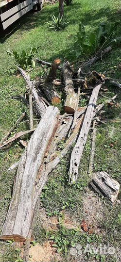 Дрова акации