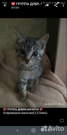 Крошки-малыши,мальчики и девочки(1,5-3мес)