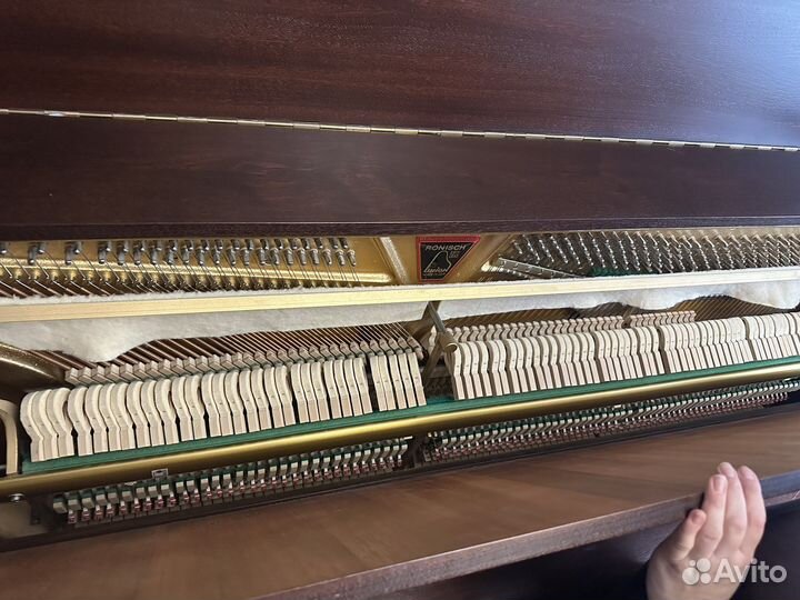 Пианино ronisch