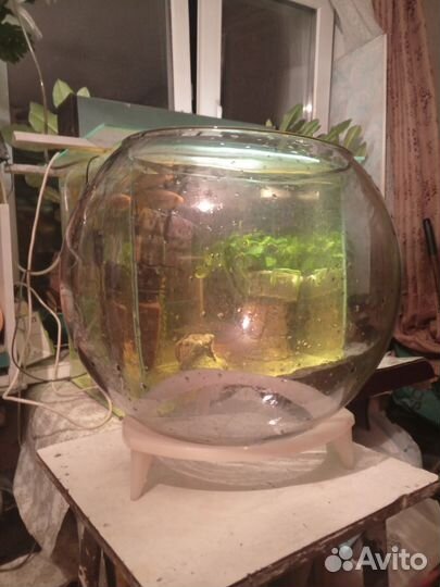 Аквариум