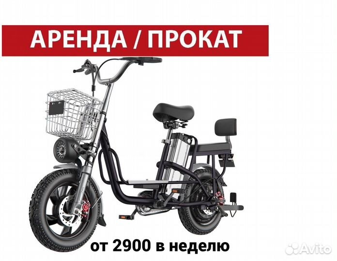 Аренда электровелосипеда Монстр