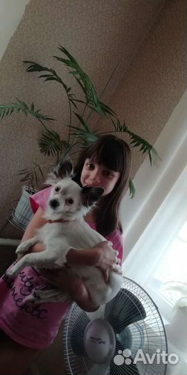Вязка