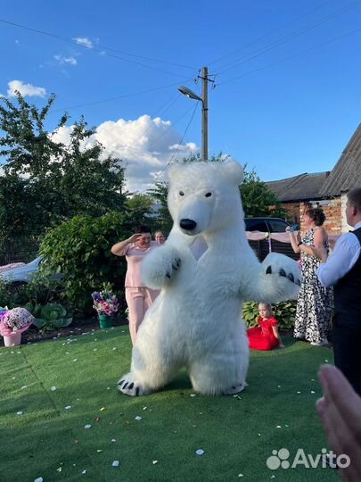 Белый медведь аниматор