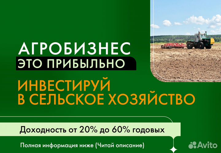 Инвестиции в готовый бизнес, ищу партнера