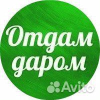 Отдам детские вещи на мальчика