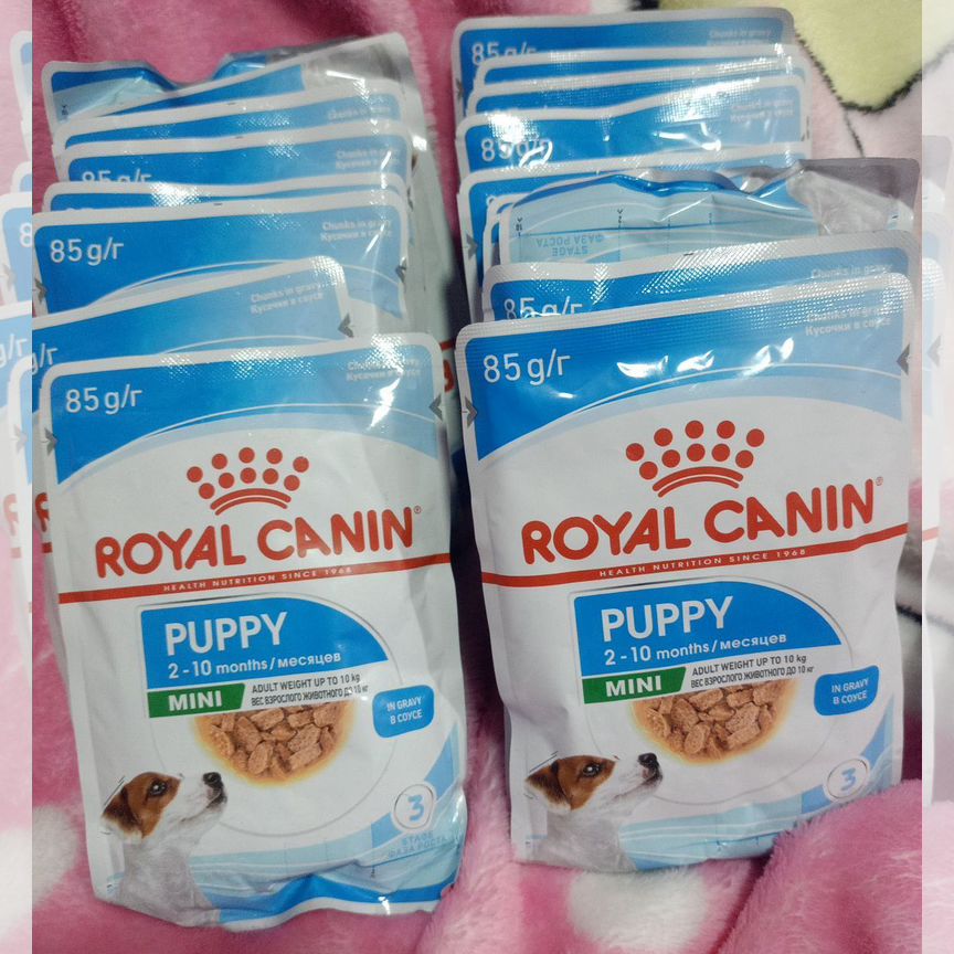 Влажный и сухой корм для собак мелких royal canin