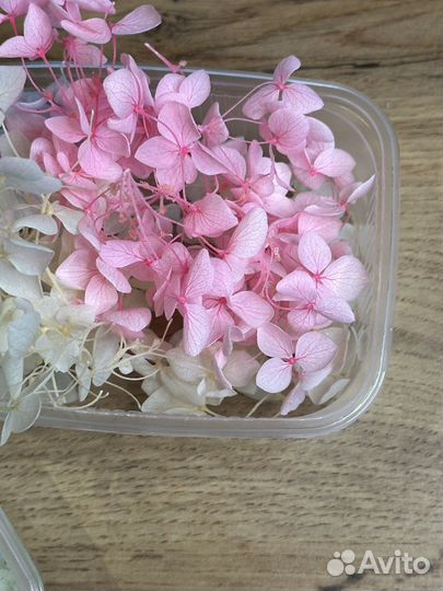 Гортензия сухоцветы, буквы