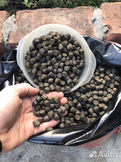 Пеллетс карповый