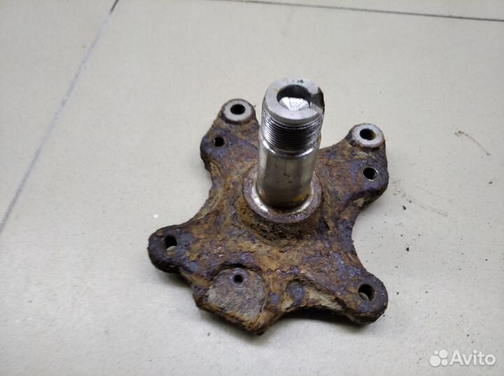 Цапфа (п.з.к.) C4 II 2011