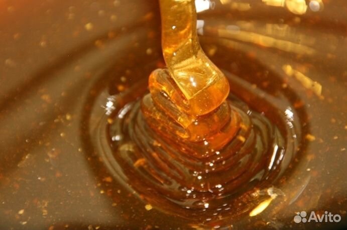 Мед натуральный с Алтая опт от 16 кг