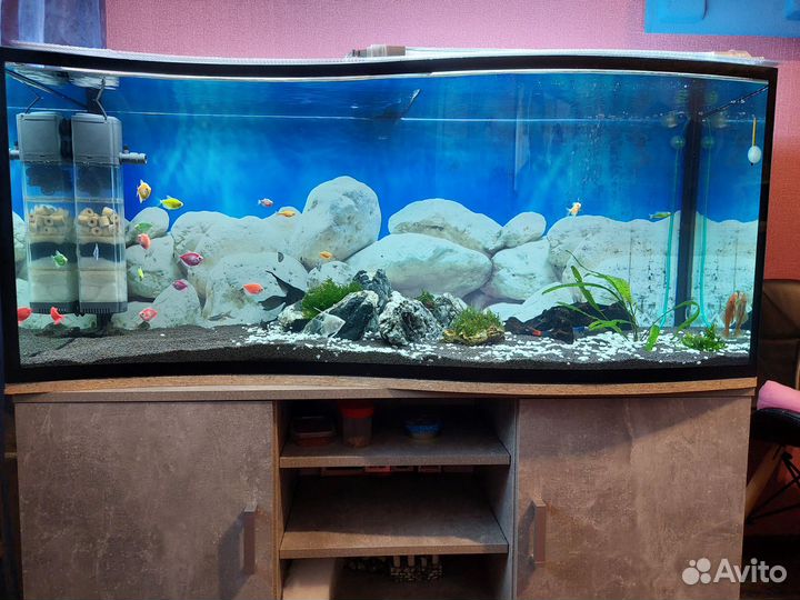 Аквариум, рыбки