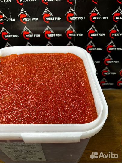 Красная икра оптом